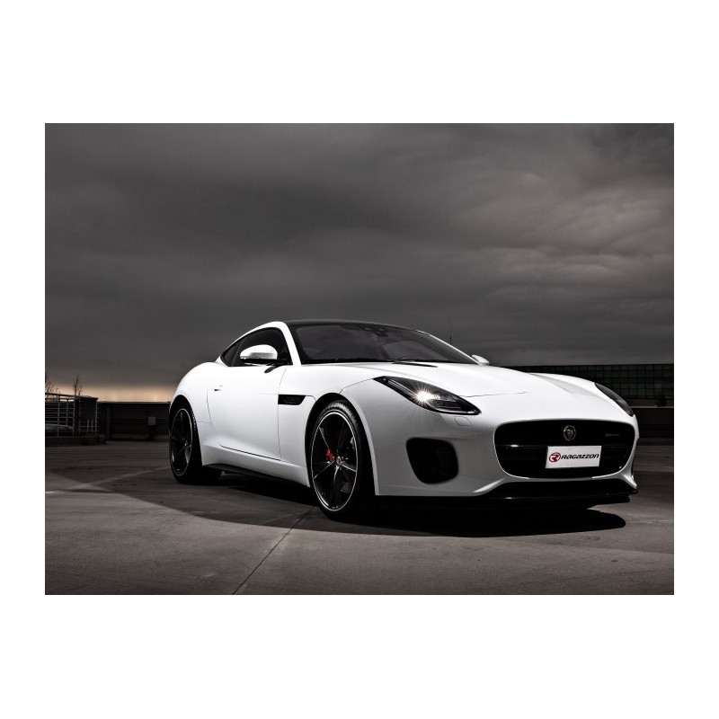 Tube remplacement cat groupe n en inox   
 Ligne avec diamètre majoré 70 mm
 Reprogrammation des modules électroniques nécess.