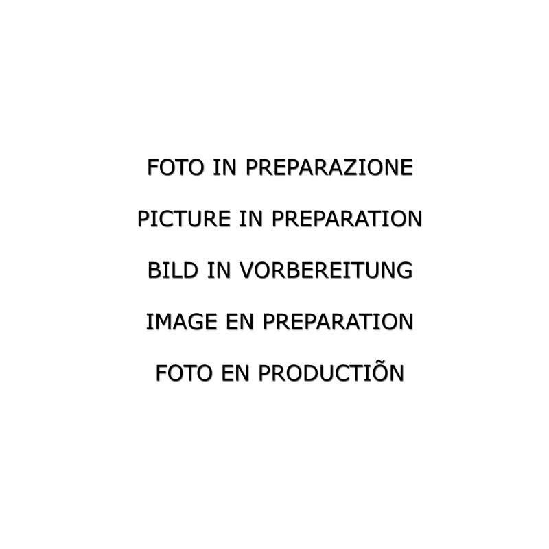 Silencieux arrière en inox avec 2 sorties Sport Line centrales  129 mm