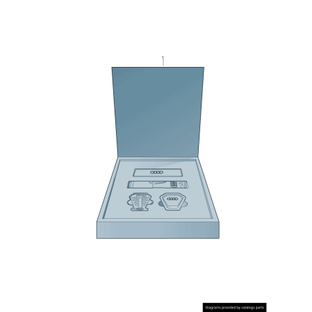 Kit de Nettoyage Audi avec Distributeur de Parfum et Chiffon de Soins 80A057800