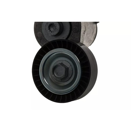 Tendeur de Courroie Trapézoïdale Audi 2.5 TFSI 5-Cylindres Tendeur de Courroie Trapézoïdale Audi 2.5 TFSI 5-Cylindres