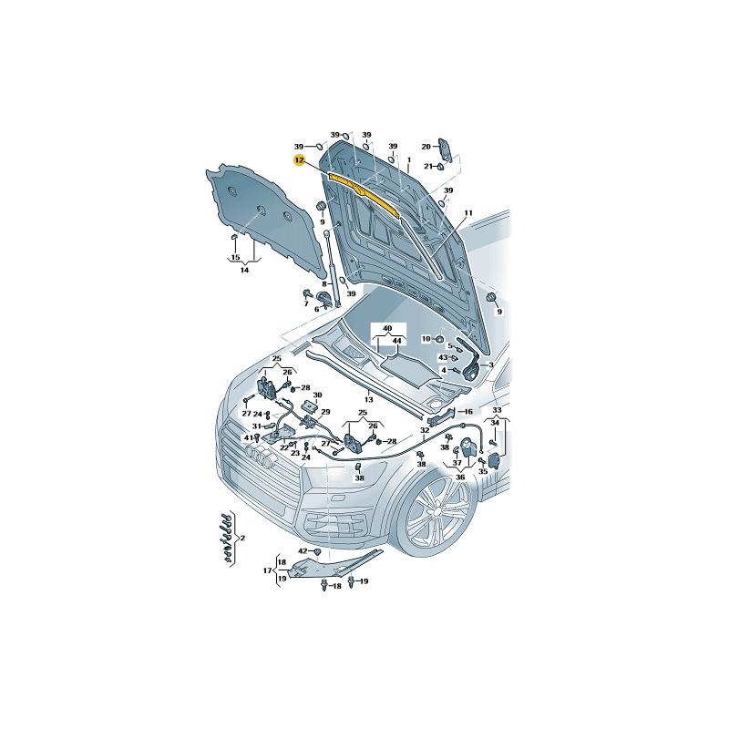 Joint central de capot Audi Q8