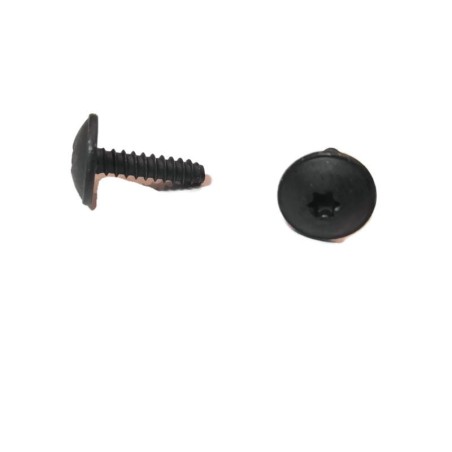 Vis à tête hexagonale Torx 4,8x19 mm Vis à tête hexagonale Torx 4,8x19 mm