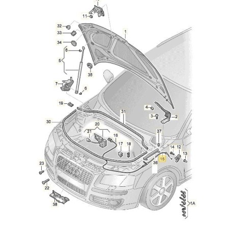Câble de déverrouillage du capot Audi A3 2004-2013 Câble de déverrouillage du capot Audi A3 2004-2013