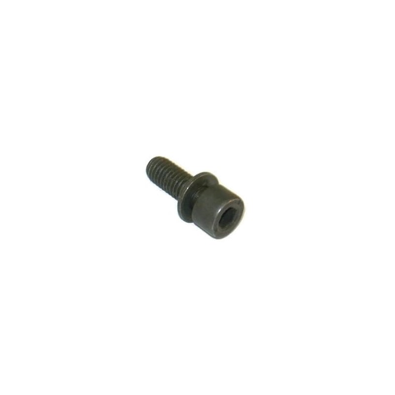 Boulon à tête cylindrique M8x22