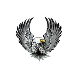 Set d'autocollants Eagles - 2x 15x14,5cm