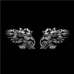 Autocollant Nickel 'Scania' - 250x80mm (2 pièces)