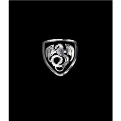 Autocollant Nickel 'Dragon in a shield' - 50x45mm