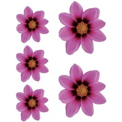 Autocollant Flower Garden - rose - 2x 16x15cm + 3x 8,5x8cm