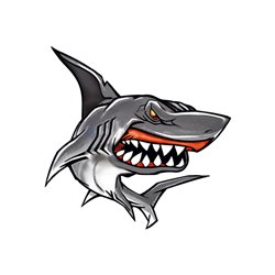 Autocollant Shark II - 11x10,5cm