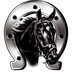 Autocollant Horse + Horseshoe - 6x7cm