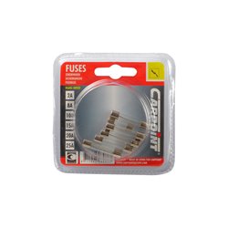 Carpoint Assortiment de Fusibles en Verre 8-30A 6-pièces