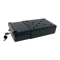 Carpoint Coffre-Fort pour Voiture