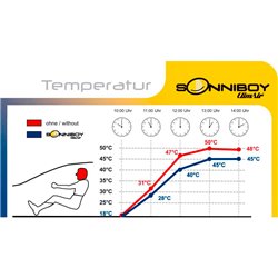 Sonniboy sur mesure pour Audi Q3 II (F3B) 2019-