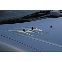 RGM Prises d'air de capot sur mesure pour Peugeot 206 (pour remplacement prise d'air d'origine)