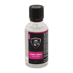 Racoon PAINT SHIELD Scellant / Coating pour la peinture - 50ml