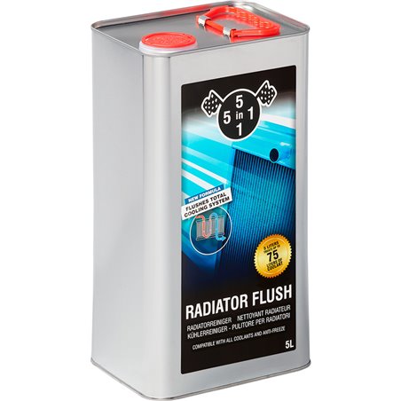 5in1 Rinçage du radiateur 5 Litre