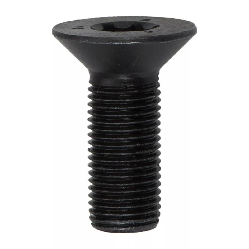 Nouveau boulon de réglage d'arbre à cames d'origine OEM VW Volkswagen Eos Golf Passat 06D109281D