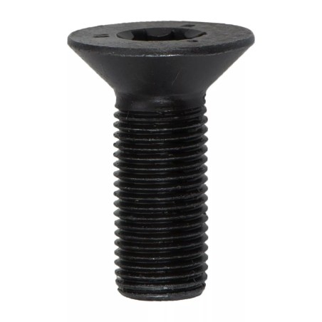 Nouveau boulon de réglage d'arbre à cames d'origine OEM VW Volkswagen Eos Golf Passat 06D109281D Nouveau boulon de réglage d'arbre à cames d'origine OEM VW Volkswagen Eos Golf Passat 06D109281D