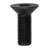 Nouveau boulon de réglage d'arbre à cames d'origine OEM VW Volkswagen Eos Golf Passat 06D109281D Nouveau boulon de réglage d'arbre à cames d'origine OEM VW Volkswagen Eos Golf Passat 06D109281D