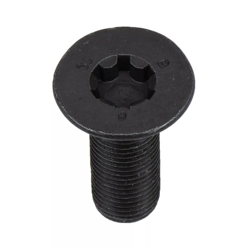 Nouveau boulon de réglage d'arbre à cames d'origine OEM VW Volkswagen Eos Golf Passat 06D109281D