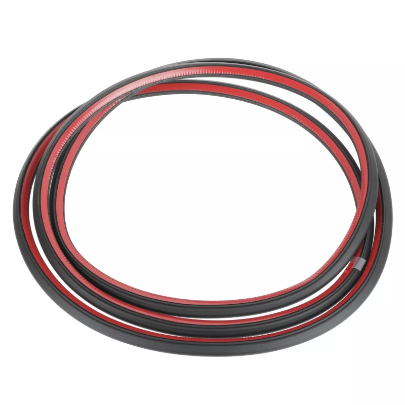 NOUVEAU OEM Volkswagen 2007-2010 Passat Joint de Porte 3C9-839-701-D-5AP