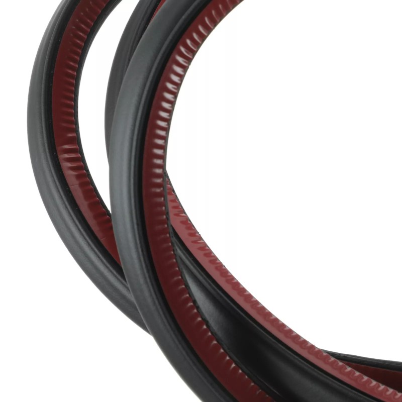 NOUVEAU OEM Volkswagen 2007-2010 Passat Joint de Porte 3C9-839-701-D-5AP