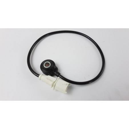 Capteur De Cliquetis | FIAT GROUP | 46469867 | | Pièce d'origine oem Capteur De Cliquetis | FIAT GROUP | 46469867 | | Pièce d'origine oem