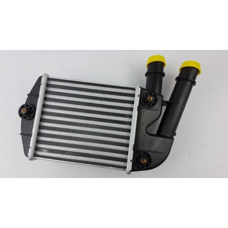 Intercooler De Turbocompresseur | FIAT GROUP | 46823259 | 0046823259 | Pièce d'origine oem Intercooler De Turbocompresseur | FIAT GROUP | 46823259 | 0046823259 | Pièce d'origine oem