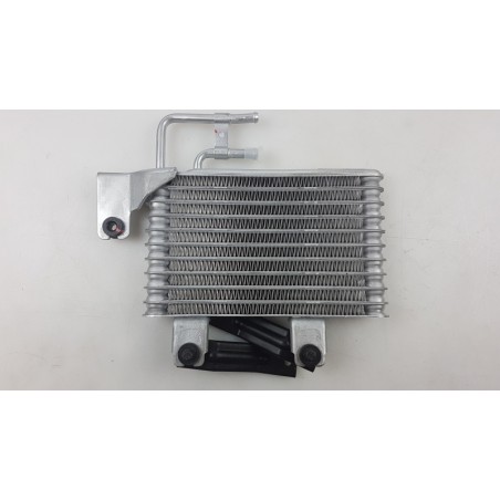 Radiateur De Refroidissement Du Moteur HYUNDAI/KIA 254602E100 Pièce d'origine oem Radiateur De Refroidissement Du Moteur HYUNDAI/KIA 254602E100 Pièce d'origine oem
