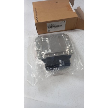 Unité De Contrôle Du Moteur HYUNDAI/KIA 296102U500 Pièce d'origine oem Unité De Contrôle Du Moteur HYUNDAI/KIA 296102U500 Pièce d'origine oem