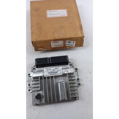 Unité De Contrôle Du Moteur HYUNDAI/KIA 391302A310 Pièce d'origine oem Unité De Contrôle Du Moteur HYUNDAI/KIA 391302A310 Pièce d'origine oem