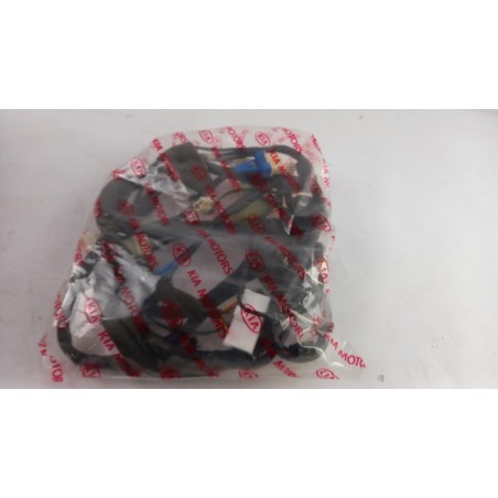 Faisceaux De Câbles HYUNDAI/KIA 3K75D67030B Pièce d'origine oem Faisceaux De Câbles HYUNDAI/KIA 3K75D67030B Pièce d'origine oem