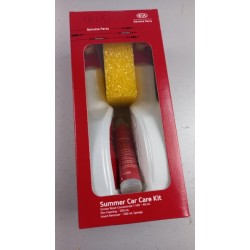 Kit De Nettoyage De Voiture HYUNDAI/KIA LP974APE102K  Pièce d'origine oem