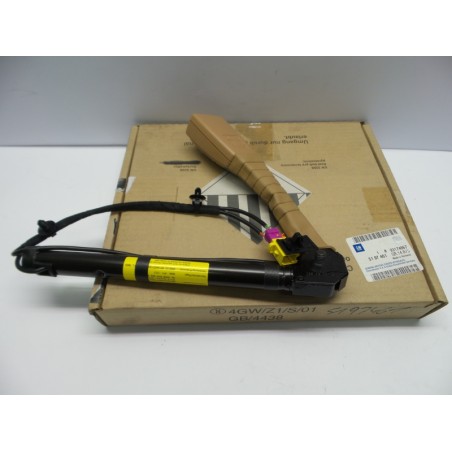 Serrure De Ceinture De Sécurité OPEL 93174867 5197461 Pièce d'origine oem