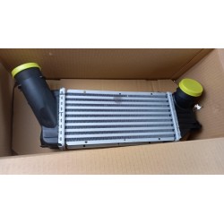 Intercooler De Turbocompresseur PEUGEOT/CITROEN 0384F6  Pièce d'origine oem