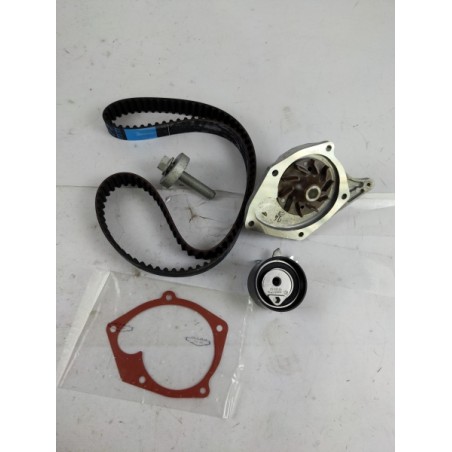 Pompe À Eau Et Kit De Courroie De Distribution RENAULT 119A08272R Pièce d'origine oem Pompe À Eau Et Kit De Courroie De Distribution RENAULT 119A08272R Pièce d'origine oem