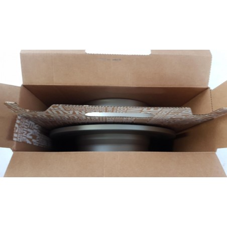 Jeu De Disques De Frein (2 Pièces) RENAULT 440A06575R  Pièce d'origine oem
