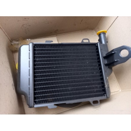 Radiateur De Refroidissement Du Moteur VAG 1H0121251 Pièce d'origine oem Radiateur De Refroidissement Du Moteur VAG 1H0121251 Pièce d'origine oem