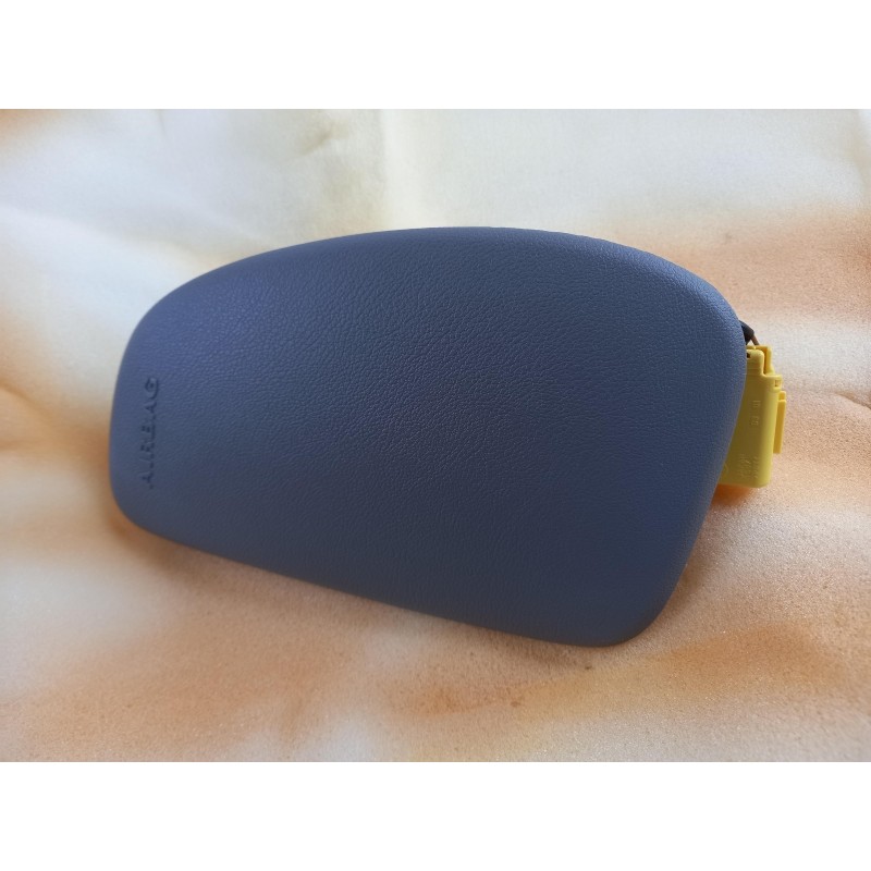 Airbag VAG 7M0880242U71  Pièce d'origine oem