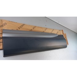 Garniture/Moulure De Protection