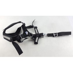 Ceinture De Sécurité Pour Chiens VAG 8X0019409B  Pièce d'origine oem