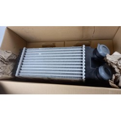 Intercooler De Turbocompresseur PEUGEOT/CITROEN 0384G5  Pièce d'origine oem