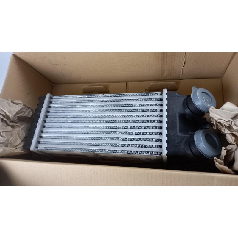 Intercooler De Turbocompresseur PEUGEOT/CITROEN 0384G5  Pièce d'origine oem
