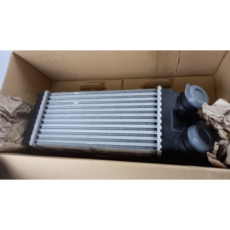 Intercooler De Turbocompresseur PEUGEOT/CITROEN 0384G5 Pièce d'origine oem Intercooler De Turbocompresseur PEUGEOT/CITROEN 0384G5 Pièce d'origine oem