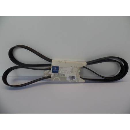 Courroie Trapézoïdale À Nervures MERCEDES-BENZ A010997799264 010997799264 Pièce d'origine oem Courroie Trapézoïdale À Nervures MERCEDES-BENZ A010997799264 010997799264 Pièce d'origine oem