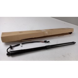 Ressort À Gaz Pour Coffre PEUGEOT/CITROEN 9812130180  Pièce d'origine oem