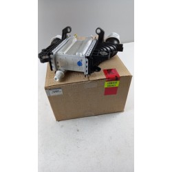 Intercooler De Turbocompresseur RENAULT 144967867R  Pièce d'origine oem