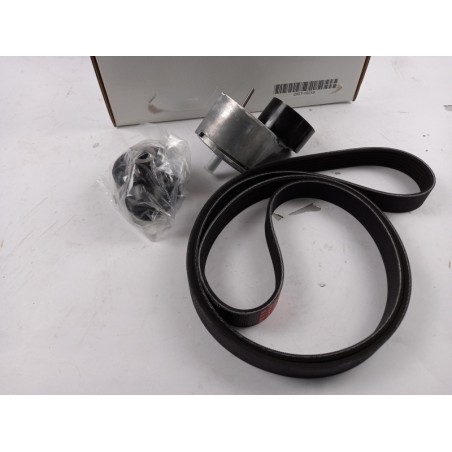Kit De Courroie Trapézoïdale À Nervures FORD 2110245 ME2S616D361AA Pièce d'origine oem Kit De Courroie Trapézoïdale À Nervures FORD 2110245 ME2S616D361AA Pièce d'origine oem