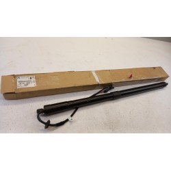 Ressort À Gaz Pour Coffre PEUGEOT/CITROEN 9812130080  Pièce d'origine oem