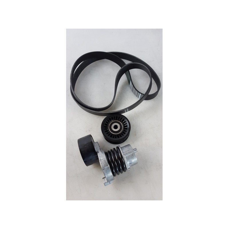 Set De Courroie Trapézoïdale À Nervures NISSAN 1172000Q6G  Pièce d'origine oem